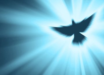 פחדים וחרדות