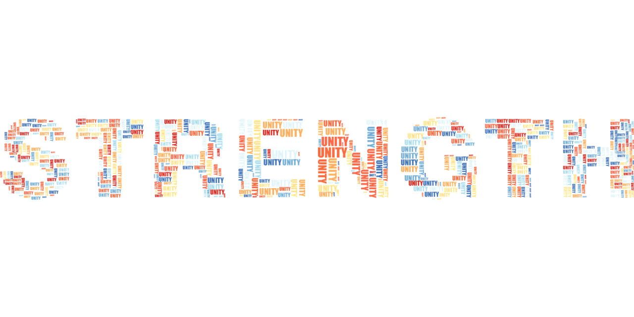 החוזק באחדות והחולשה באחידות…